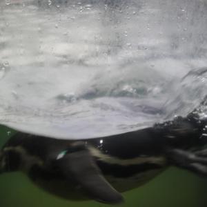 噜噜噜网站在线观看
