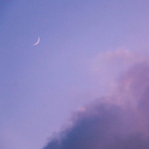 噜噜噜网站在线观看
